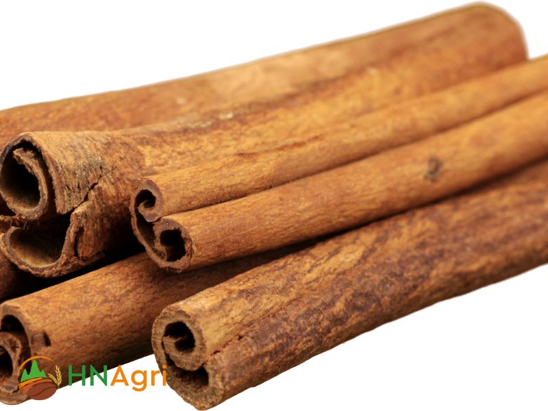 find-vietnam-cinnamon-suppliers-to-source-premium-quality-cinnamon-1