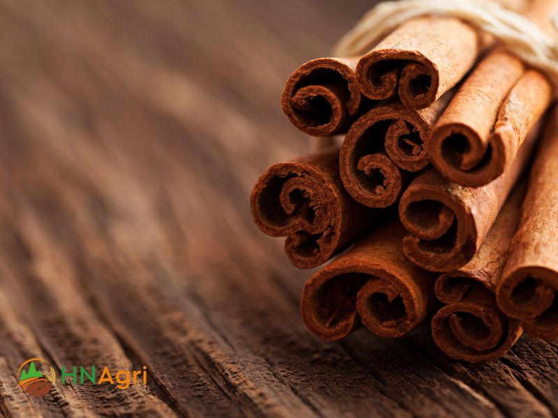 saigon-cinnamon-the-must-have-spice-for-wholesale-distributors-1