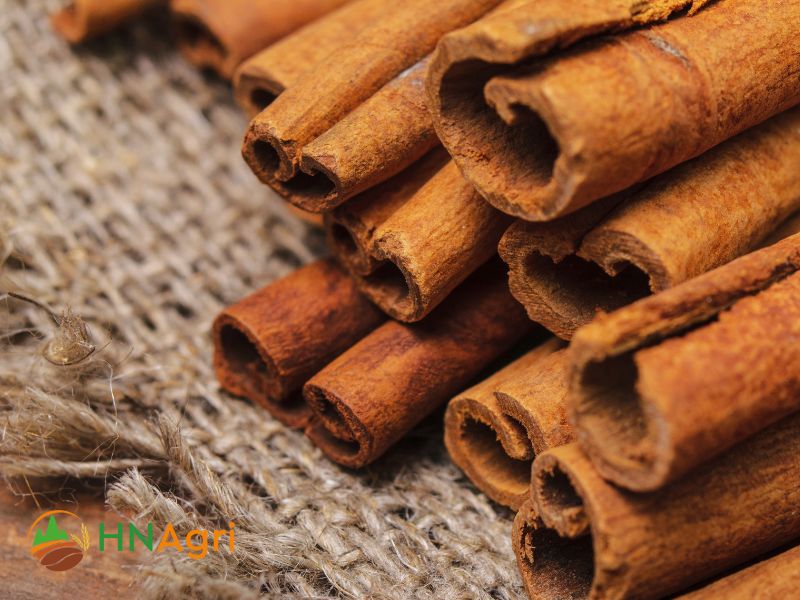 saigon-cinnamon-the-must-have-spice-for-wholesale-distributors-2