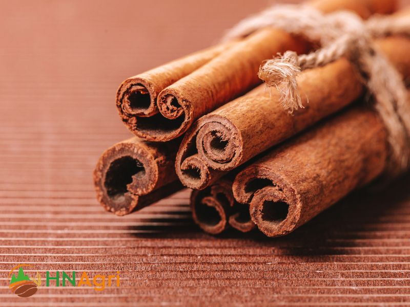 hanoi-cinnamon-provide-the-sweet-flavor-of-vietnamese-cinnamon-3