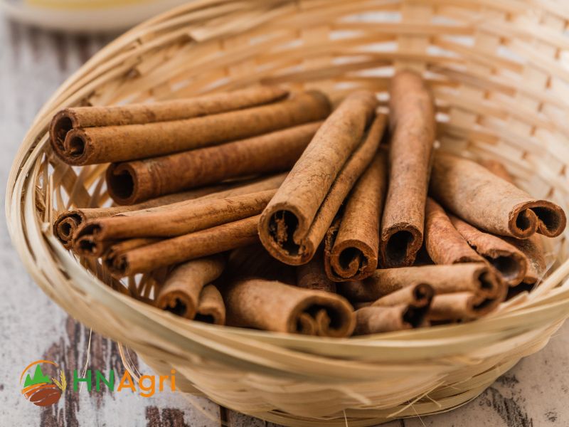 top-5-cinnamon-suppliers-indonesia-you-should-know-3