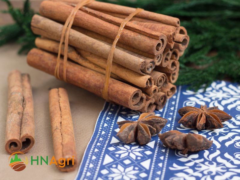 top-5-cinnamon-suppliers-indonesia-you-should-know-2