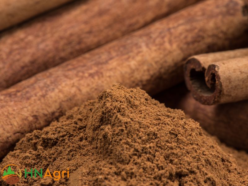 important-tips-to-help-you-find-a-reputable-cinnamon-exporter-3